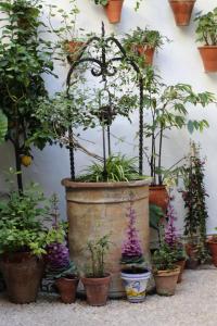 Zahrada ubytování Casa longa