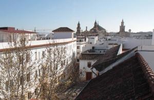 コルドバにあるPatios de San Andrésの建物の屋根から市街の景色を望む