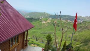 Φυσικό τοπίο κοντά σε αυτό το σαλέ +2 φωτογραφίες