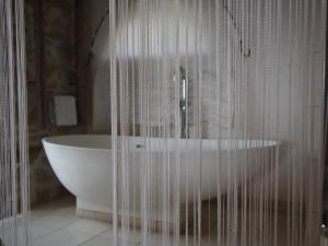 een badkamer met een bad en een douchegordijn bij Les Lumières de Genève in Grilly