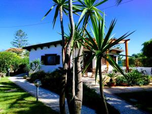 una casa con palmeras delante en Punta Secca, en Punta Secca