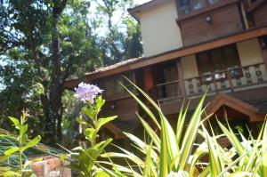 Kaular Atithis Grand Kokan Resort外面的花园