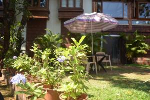 Kaular Atithis Grand Kokan Resort外面的花园