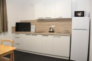 Una cocina o zona de cocina en Apartmány U Špirků