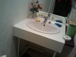umywalkę w łazience z wazonem kwiatów w obiekcie Pacéenne w mieście Pacé