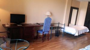 TV a/nebo společenská místnost v ubytování Hotel Spa Tudanca Aranda