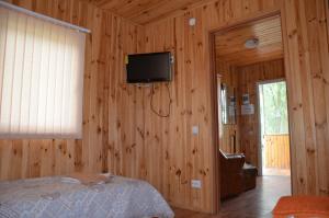 a bedroom with a bed and a tv on the wall at Pelican City in Vylkove