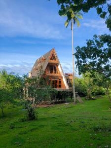 una casa in un campo con un albero di Camiguin Volcano Houses - A-Frame house a Mambajao