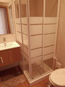 a shower in a bathroom with a toilet and a sink at Fisherman's House in Aljezur