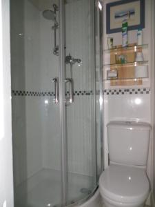 a bathroom with a shower and a toilet at Avondale Guest House in York