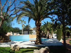 a palm tree in a yard with a swimming pool at Club Simó in Cala Millor