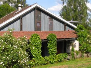 Una casa con hiedra a un lado. en Ferienhaus am Litzelberg en Radolfzell am Bodensee