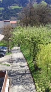 Przyroda w pobliżu tego apartamentu