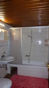 a bathroom with a shower and a toilet and a sink at Apartement Hasenauer in Fieberbrunn
