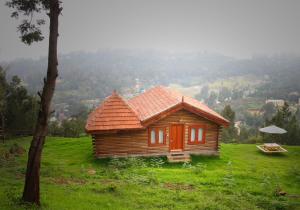 Příroda nedaleko bed and breakfast