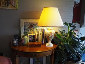 a lamp on a table next to a plant at Golden Treasure Deluxe in Münster