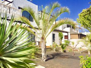 palma przed budynkiem w obiekcie Tagoror Lanzarote w Puerto del Carmen