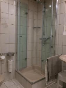 a bathroom with a shower and a tub and a sink at Ferienwohnung Bachem in Hürtgenwald