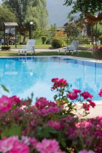 two chairs and a swimming pool with pink flowers at Casa Ornella in Ponte Caffaro