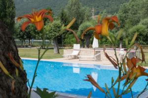 - une vue sur la piscine bordée de fleurs dans l'établissement Casa Ornella, à Ponte Caffaro