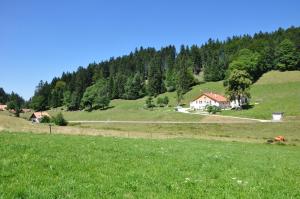 Příroda nedaleko apartmánu