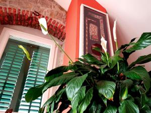 Fotografie z fotogalerie ubytování Apartment Silvia v destinaci Kaštela