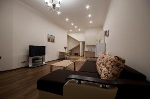uma sala de estar com um sofá e uma televisão em Wonderful flat on city center (Mukachivska 4/11) em Uzhhorod