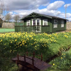 una casa verde con un banco en un campo de flores en Garden Studio for Two, en Doune