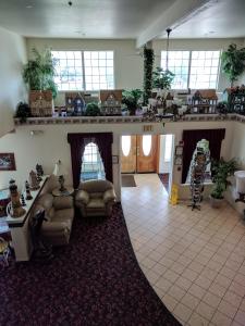 克雷森特城的住宿－燈塔酒店，带沙发的客厅和植物间