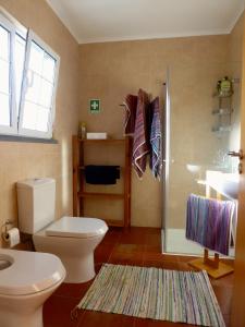 ein Badezimmer mit Toilette, Dusche und Waschbecken in der Unterkunft Azorean Cottage São Jorge in Cais da Urzelina
