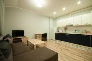 Una sala de estar con un sofá y una cocina. en Wonderful flat on city center (Mukachivska 4/18), en Uzhhorod