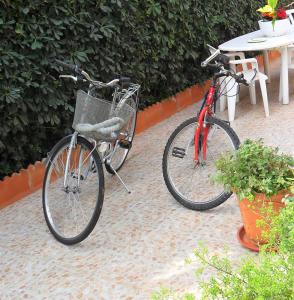 Il Giardino di Laura Private Rooms Mondello tesisinde veya etrafında bisiklete binme