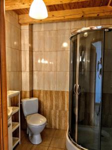 a bathroom with a toilet and a glass shower at Kamień Bałtyku in Debina +97 photos