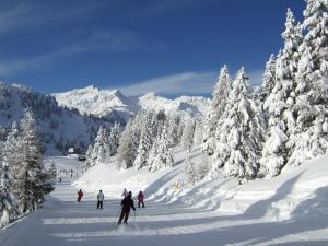Residence Ca' Delle Margherite during the winter