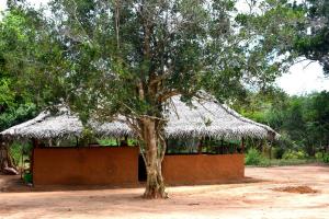 Fotografie z fotogalerie ubytování Rivosen Camp Yala Safari v destinaci Yala