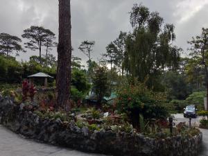 Zahrada ubytování Log Cabin Hotel - Baguio