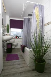Ferienwohnung Zum alten Zollhaus في بيرغن: حمام مع حوض ودش مع نبات +19 صورة