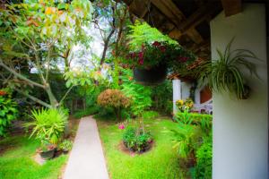 Jardín al aire libre en Hostal La Parroquia en Comala