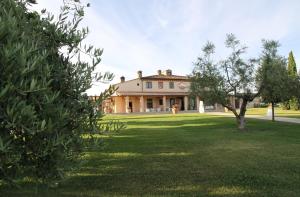 a large house with a tree in the yard at Agriturismo Colleoli in Palaia