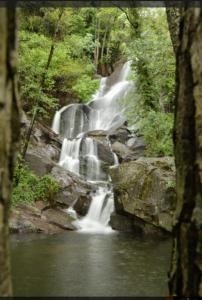 a waterfall in the middle of a river at Rincón del Valle del Jerte in Navaconcejo