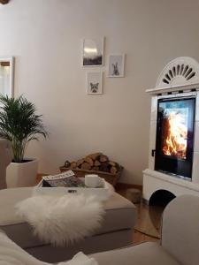 a living room with a fireplace and a couch at Ferienhaus Rosenhof in Weidenbach