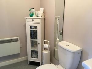 a bathroom with a white toilet and a mirror at Ingleneuk Bed and Breakfast in Edinburgh