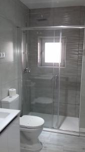 アビラにあるÁvila Flats Segovia 10のバスルーム(トイレ、ガラス張りのシャワー付)