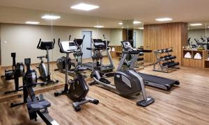 Fitness centrum a/nebo fitness zařízení v ubytování Aryaduta Bali