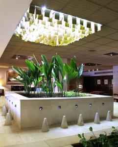 Fotografie z fotogalerie ubytování Hotel Goya v destinaci Zaragoza