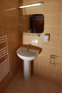a bathroom with a sink and a mirror at Pension Onelia in Gîrda de Sus