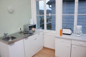 Kuchyň nebo kuchyňský kout v ubytování Raisa Apartments Fünkhgasse + 37 fotografií