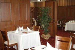 Un restaurante o sitio para comer en Hotel Elegance