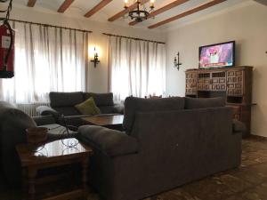 ein Wohnzimmer mit Sofa und Fernseher in der Unterkunft Hotel Matias in Ruidera