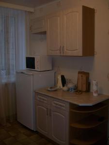 Кухня или кухненски бокс в Apartment on Pochainskaya